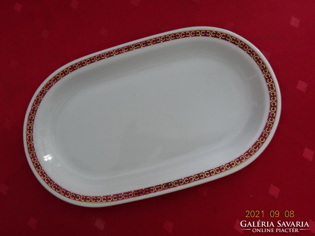 Lowland porcelain oval plate with gilded stripes on a burgundy background. He has!
