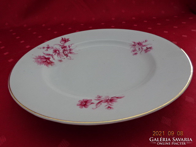 Drasche porcelán lapostányér, rózsaszín virággal, átmérője 23,8 cm. Vanneki!