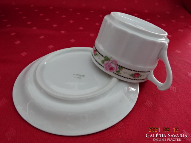 Czechoslovak porcelain teacup + placemat, antique, rose pattern. He has!