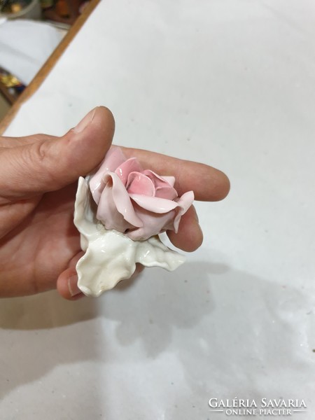En porcelain rose