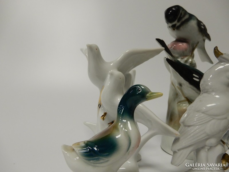 9 db-os porcelán madár gyűjtemény