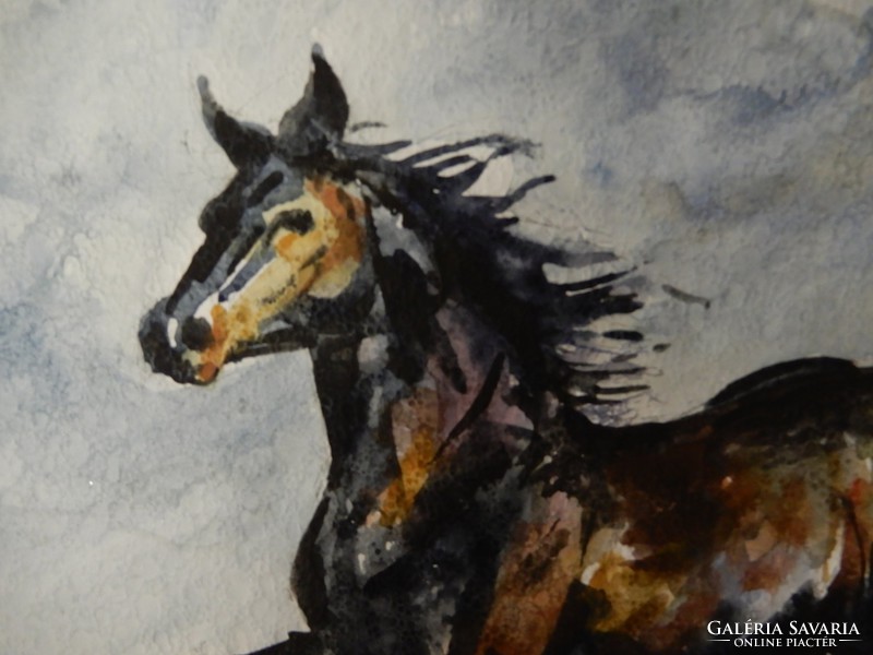 László István: black horse, watercolor