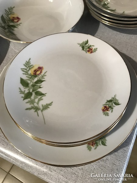 Wonderful bohemia Czechoslovak tableware tea set yellow rose pattern plate set