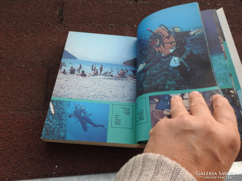 Walt Disney  A természet világa Az állatvilág enciklopédiája Nagy növényevők Emlősök Ahol a cápa jár