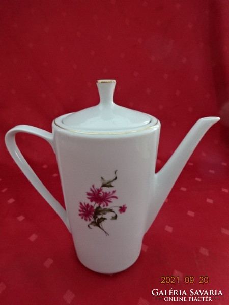 Great Plain porcelain coffee pourer with cyclamen flower. He has!