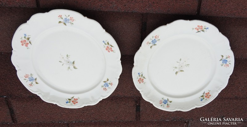 Buttercream-colored plate with a pair of bavaria / 24 cm in diameter