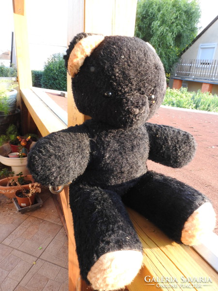 Huge antique black teddy bear - teddy bear