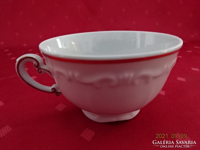 Zsolnay porcelain teacup with printed pattern and gold border. He has!