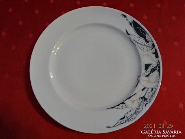Plain porcelain flat plate with black - gold pattern, diameter 24.5 cm. He has!