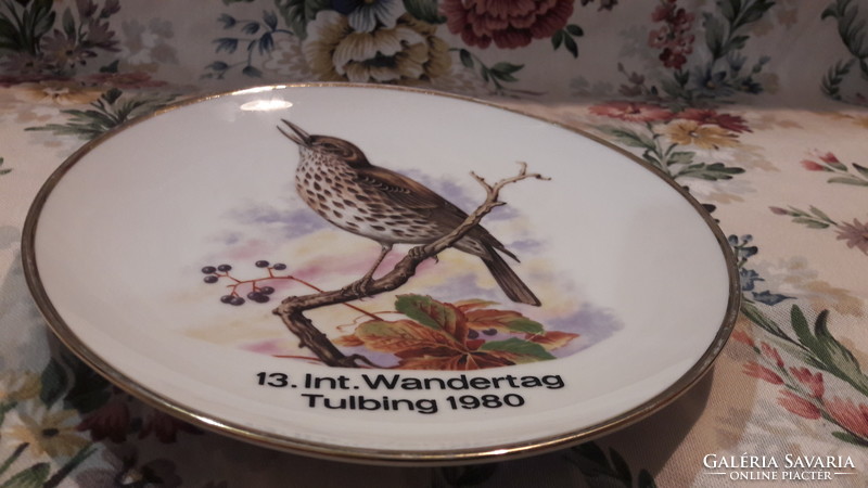 Sparrowhawk, bird porcelain plate, decorative plate