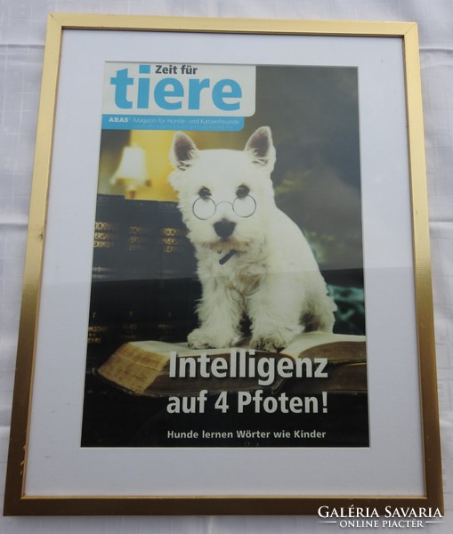 Olvasni tanuló kutya poszter réz keretben  - nagy méret Intelligenz auf 4 Pfoten! Zeit für tiere