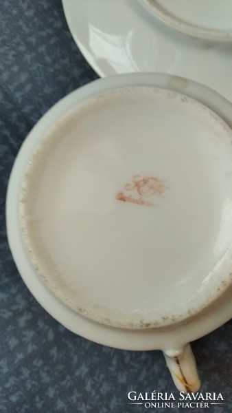 Antique rosy tea cup