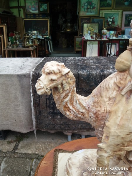 Amphora austria: camel bedouin.