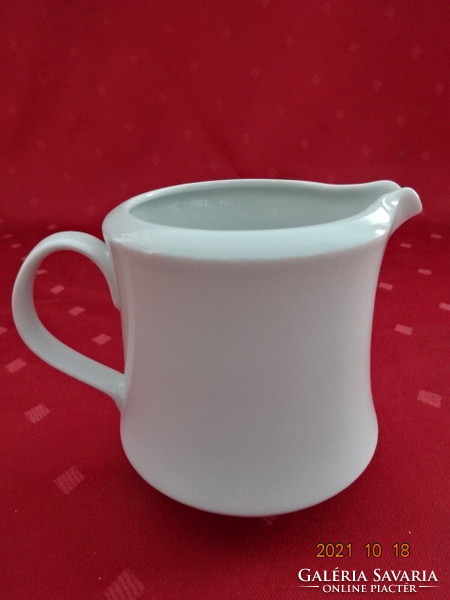 Great Plain porcelain milk spout, white, height 9 cm. He has!