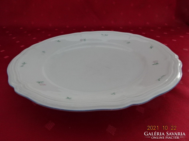 Seltmann weiden bavaria german porcelain flat plate. He has!