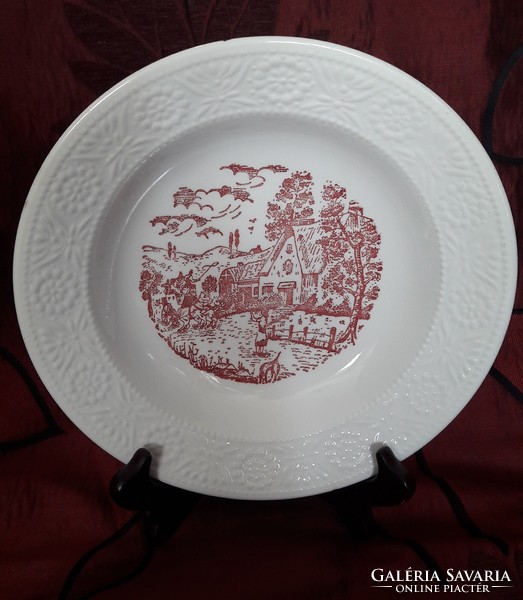 Régi fajansz porcelán tányér