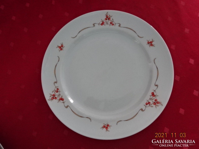 Plain porcelain flat plate with rosehip pattern, diameter 24 cm. He has!