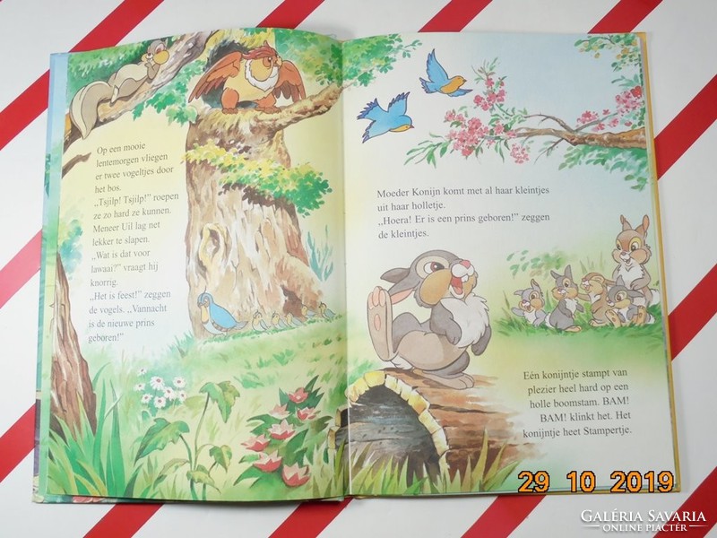 Disney: bambi - storybook in Dutch