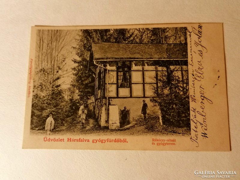 Nagyon ritka Hársfalva gyógyfürdő Rákóczy-sétaút és gyógyterem 1905.  (8)
