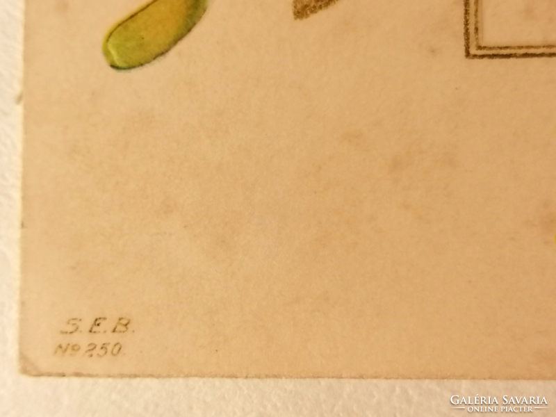 Dombornyomott litográf fagyöngyös, négylevelű lóherés üdvözlőlap 1901  (30.)