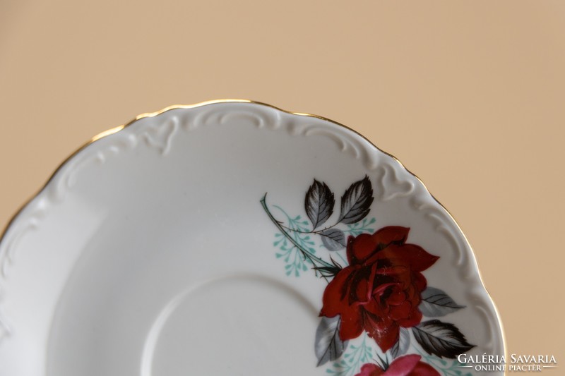 Bavaria schirnding porcelain cups with placemat plates