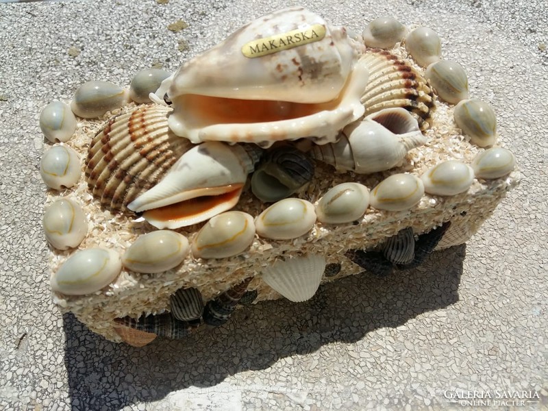 Kagylós díszdoboz - ajándék csigaházakkal