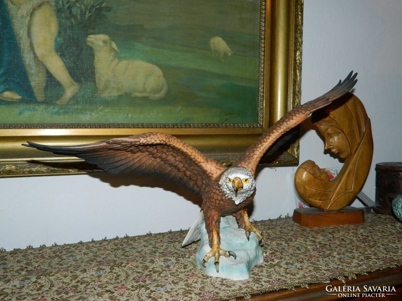 Goebel: a white-headed eagle from 1969