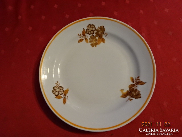 Zsolnay porcelain flat plate, brown floral, yellow border. He has!