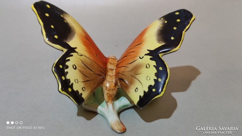 Butterfly of Bodrogkeresztúr