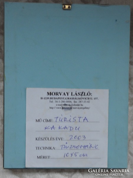 Morvay László tűzzománc kép - Turista kakadu