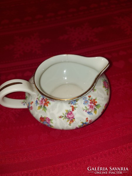 Francia Haviland Limoges porcelán teaszervíz