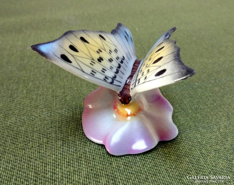 Drasche porcelain factory on butterfly flower