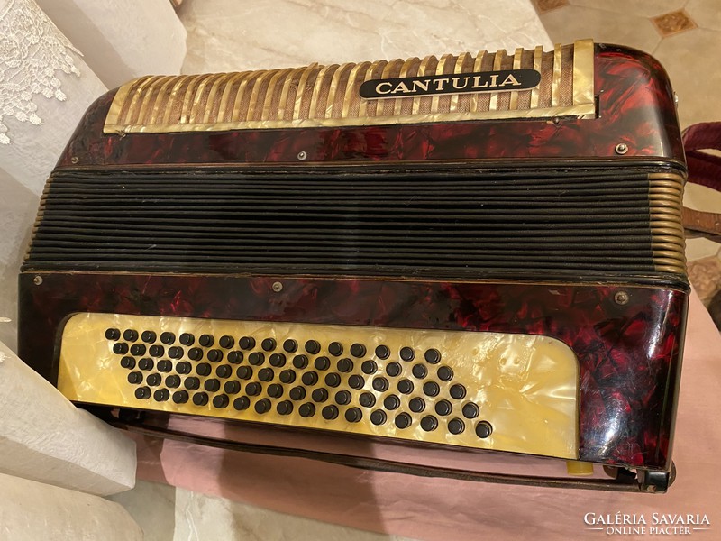 Cantulia accordion / marketed by Michael the Hope /