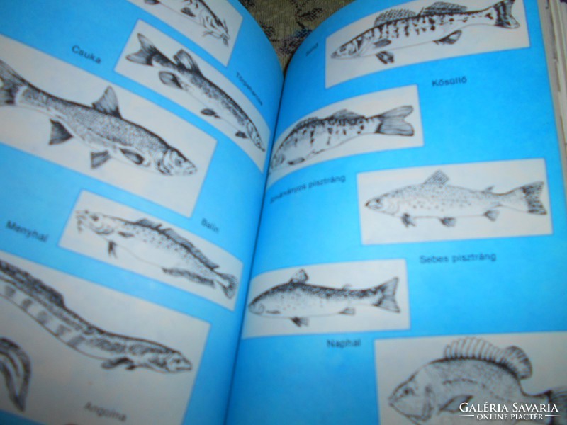 Cookbook ----- Kálmán Tolnai: game and fish dishes