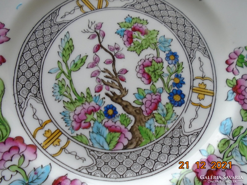 Antik angol Aynsley kézzel festett, kézzel számozott dekoratív Keleti virág mintás tányér