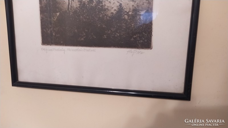 Aloys wach etching radier with 33x39 cm frame