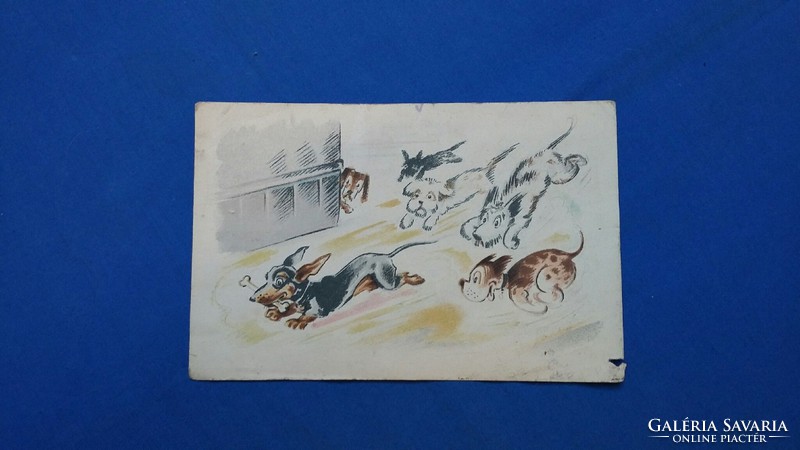 Old funny postcard with dogs