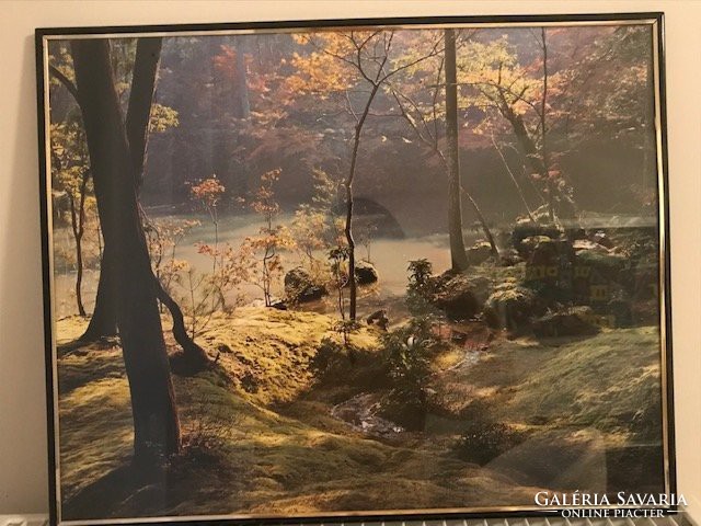 Falikép természet fotóval, 50 x 40 cm, Új!