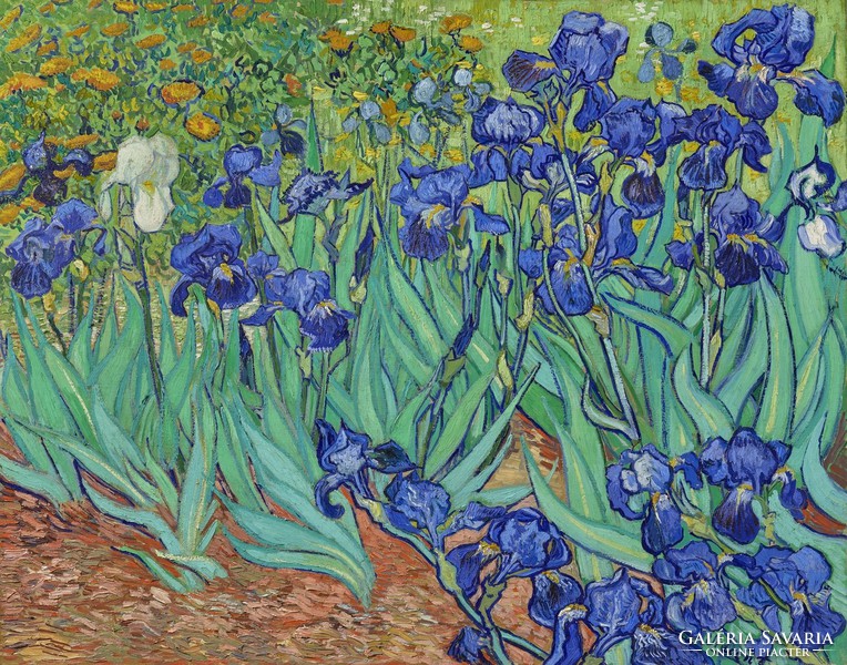 Vincent van Gogh - Íriszek - reprint