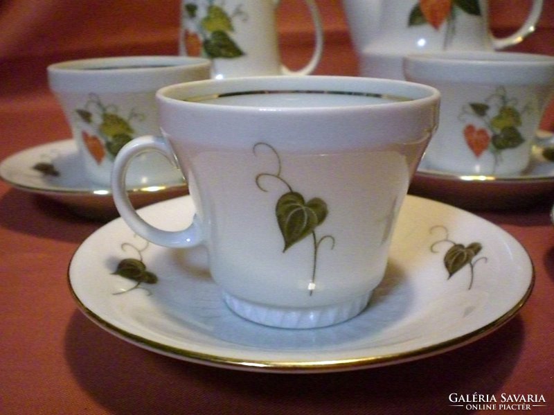 Special leaf pattern coffee set, cup, spout