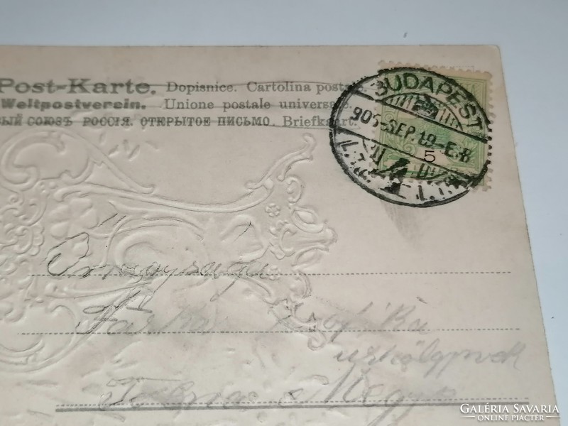 Különleges szépségű, dombornyomott havasigyopáros üdvözlőlap, képeslap. 1905-ben feladva. 83.