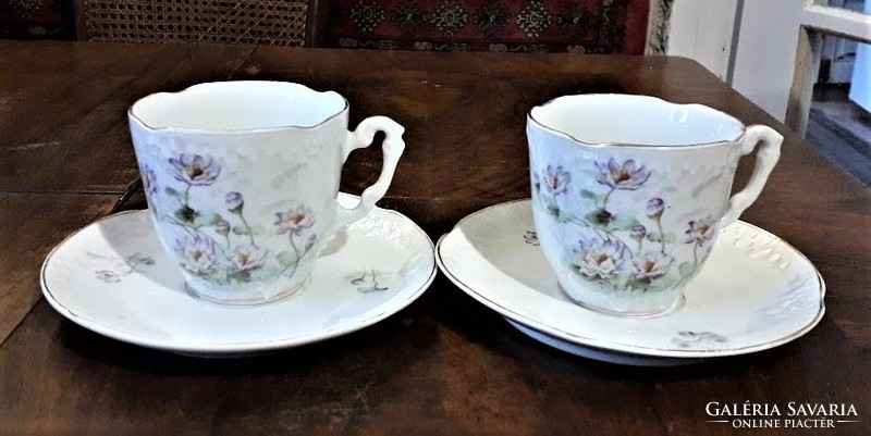Kpm porcelain cup pair