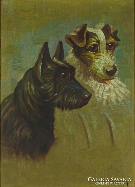 1H229 with shepherd sign: dog portrait
