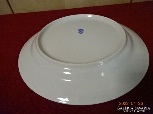Plain porcelain flat plate, daisy pattern, diameter 24 cm. He has! Jókai.