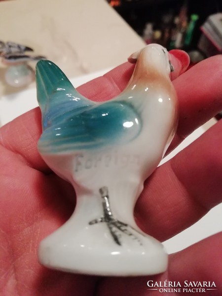 Foreign porcelain cock is rare