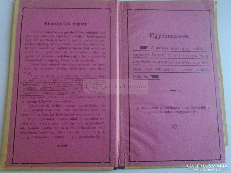 Za378a1 Book of the Caritas Self-Help Association's Maid-Relief Department 1900 Lajos Rapcsák - v.K. Hospital