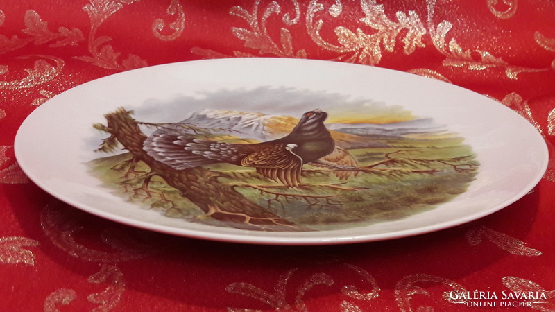 Deaf Hunter Decorative Plate, Porcelain Plate (m1995)