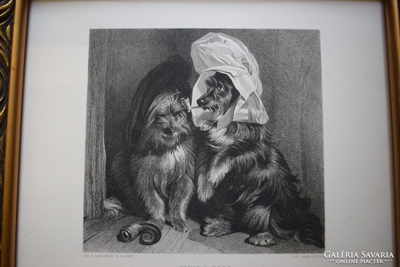 Sir Edwin Henry Landseer , kutya kép , acél metszet , 19. század könyv lap Comical Dogs
