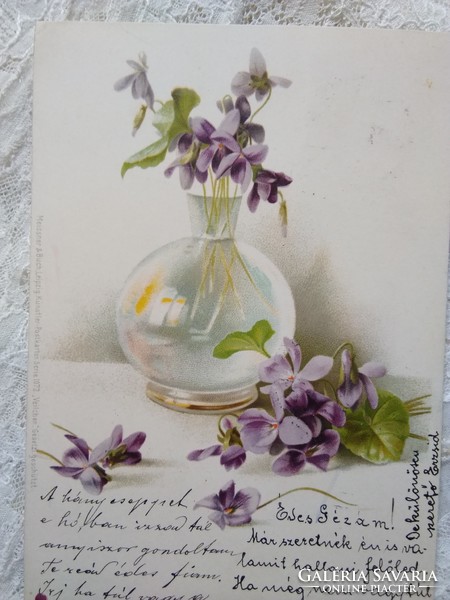 Antik hosszúcímzéses litho/litográfiás ibolyás képeslap, ibolya, váza 1902