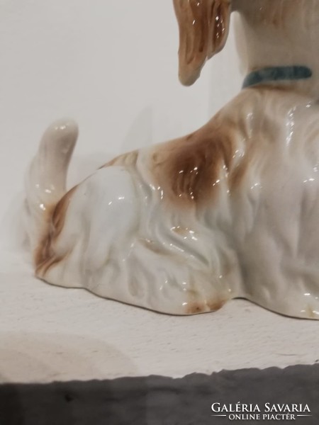 Bájos porcelán kutya